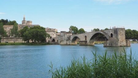 Festival d’Avignon Transforms Medieval Castle into a Captivating Theatre Experience Festival d’Avignon brings theatre to a mediaeval castle in France – Euronews
