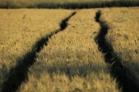 Lower-cost land prices noted during French farm walks – Agriland