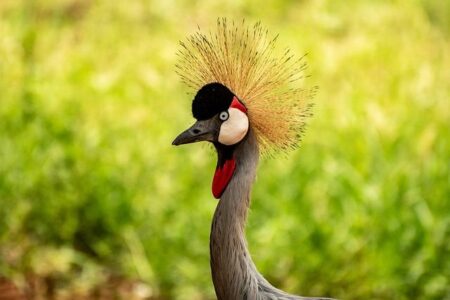 Uganda’s Visibility in France Drives Strong Business at IFTM Top Resa – ChimpReports