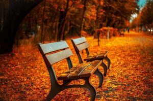 Official | Park Bench strike deal to buy Girondins de Bordeaux for €1 – Get French Football News
