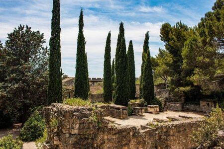 15 BEST Avignon Shore Excursions: Things to Do, Cruise Day Tour & Reviews (2026) – Cruise Critic
