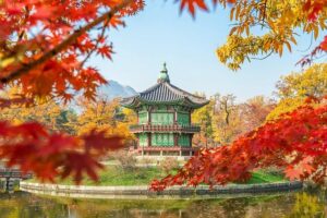 She took pansori to Avignon. France called her a ‘rock star’ – The Korea Herald